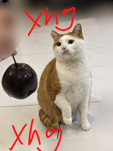 1000178578.jpg
