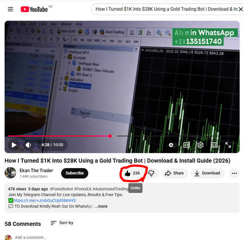 rt.png
