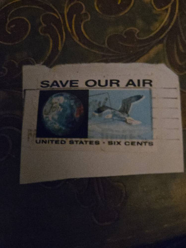 d4fa9e22f59e.jpg