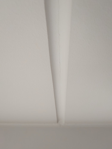 PXL 20260210 094124246.jpg