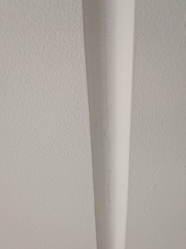 PXL 20260210 094057934.MP.jpg