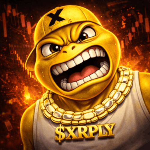 67c4c3e38e04.png