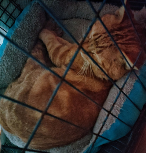 MEITU 20260222 141542874.jpg