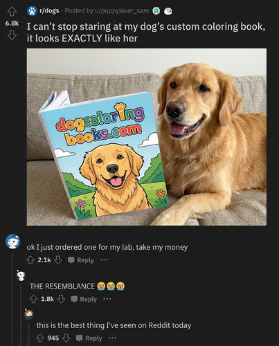 8ca7f9da381d.jpg
