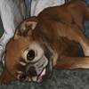 thumbnail.png