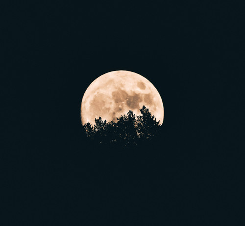 aron visuals 4zxSWESyZio unsplash.jpg