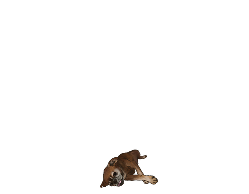 thedog ezgif.com webp to png converter.png