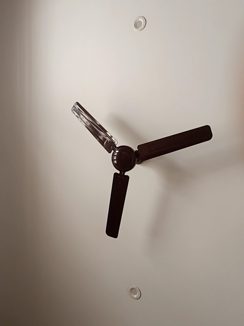a1a293d245c2.jpg