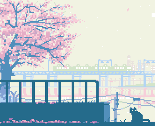 ezgif.com resize.gif