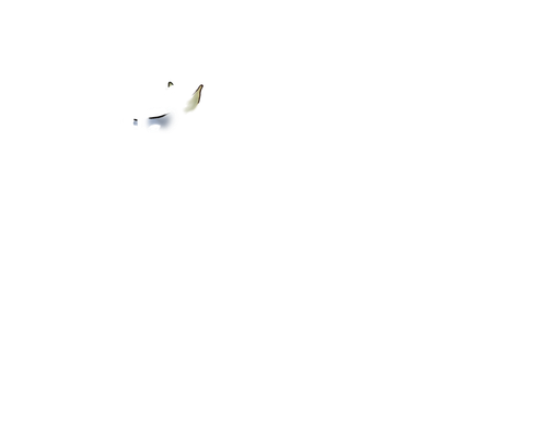 CD_mngwa_adol_lioden_[green].png