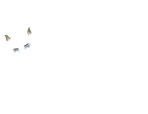 CD_MNGWA_male_[green].png
