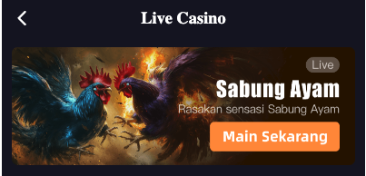 Screenshot 2026 02 23 at 06.16.17.png