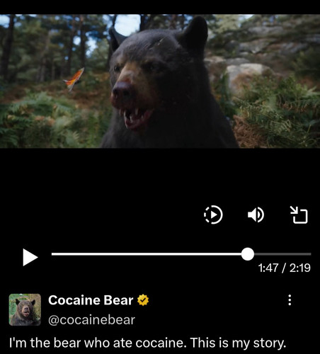 Screenshot 20260222 235816 X.jpg