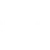 evo casino