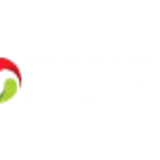 skywind casino