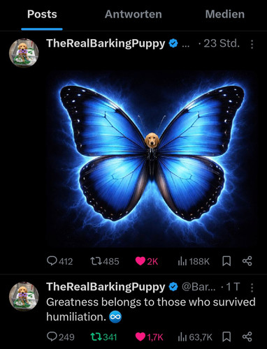 Screenshot 20260223 000227 X.jpg
