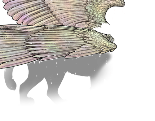 wet rainbow female.png