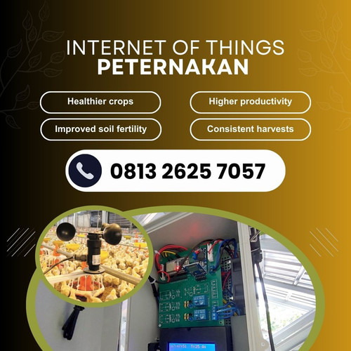 IoT (7).jpg