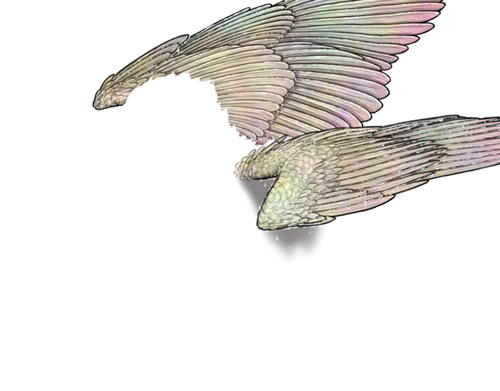 wet rainbow adol.png