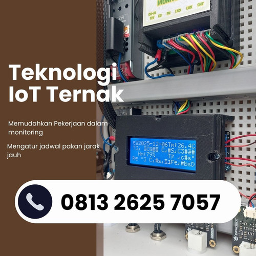 IoT (6).jpg