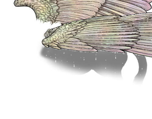 wet rainbow male.png