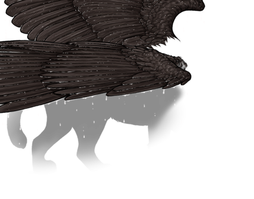 wet noctis female.png