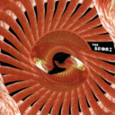 a06c8cdd7d17.png
