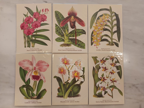 337e0914 f9c4 4f88 ae2f e7d87fed7551.jpg