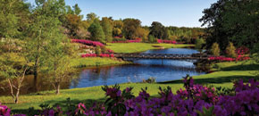 news image spring.jpg