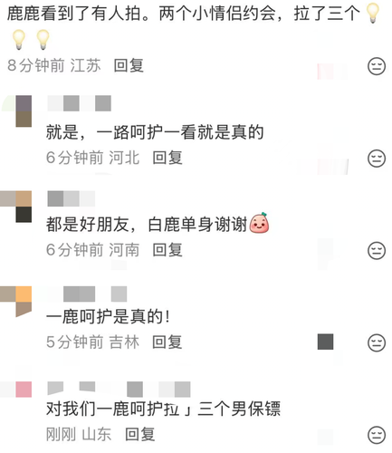 1000028031.png