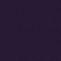 evedarkpurplebg.jpg