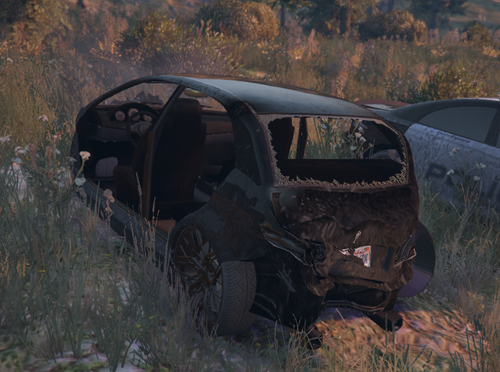 FiveM GTAProcess Y3qzSDOWNz.png