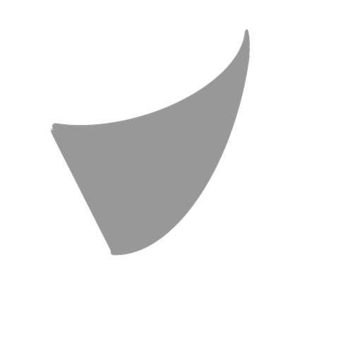 黑拖尾.png