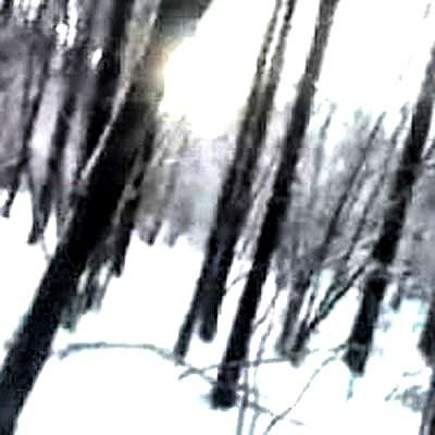 file 23226.jpg