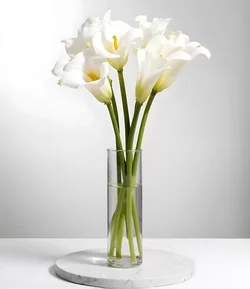 White-calla-lilies-vase_23-2151936299-1971094455.webp