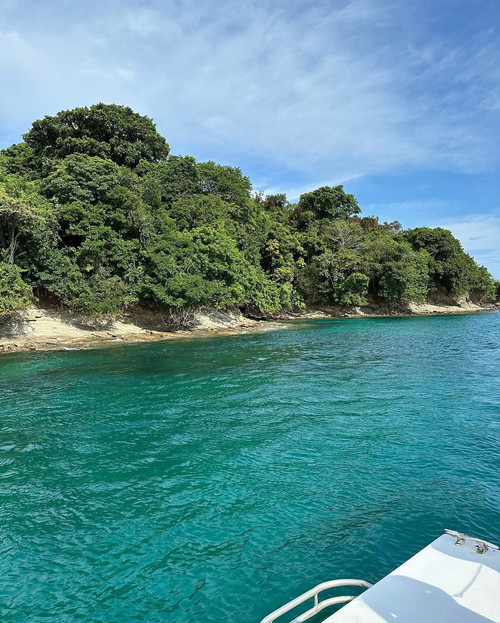 462664309 886537276383605 1662247166961810377 n.jpg