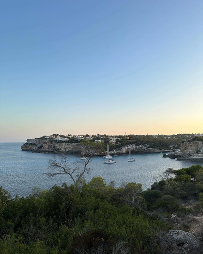 405800233 2309763195883295 8752573223755782604 n.jpg