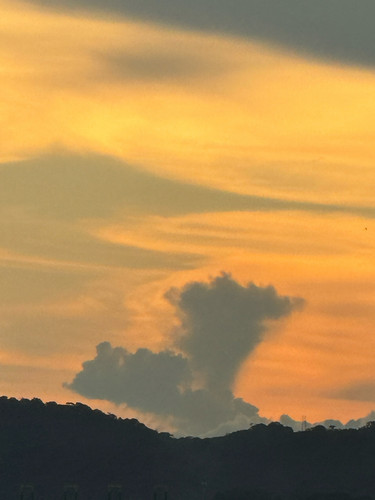 526632677 17928273864092815 8922982732446641052 n.jpg