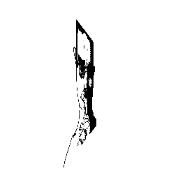 frame 106 delay 0.02s.gif