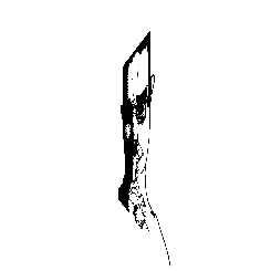 frame 119 delay 0.02s.gif
