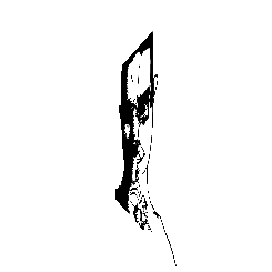 frame 120 delay 0.02s.gif