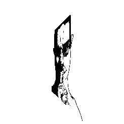 frame 121 delay 0.02s.gif