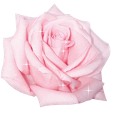 tumblr 5f0ee822dcf6236c1818b6f6f24b812a 362c8cea 500.png