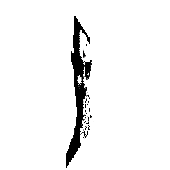 frame 032 delay 0.02s.gif