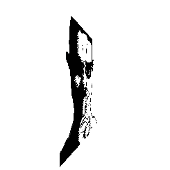 frame 030 delay 0.02s.gif
