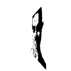 frame 045 delay 0.02s.gif