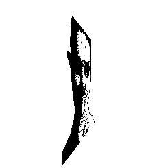 frame 031 delay 0.02s.gif
