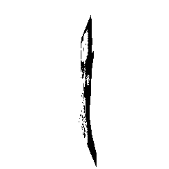 frame 041 delay 0.02s.gif
