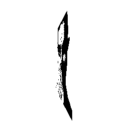 frame 042 delay 0.02s.gif