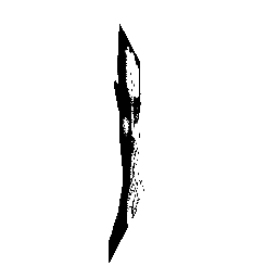 frame 033 delay 0.02s.gif